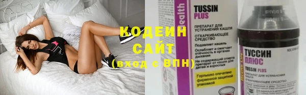 дурь Арсеньев