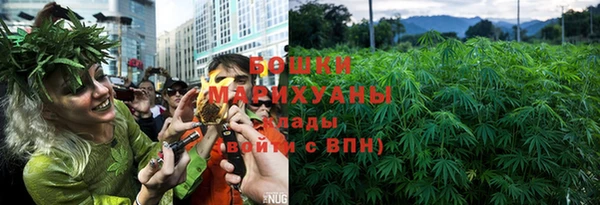 дурь Арсеньев